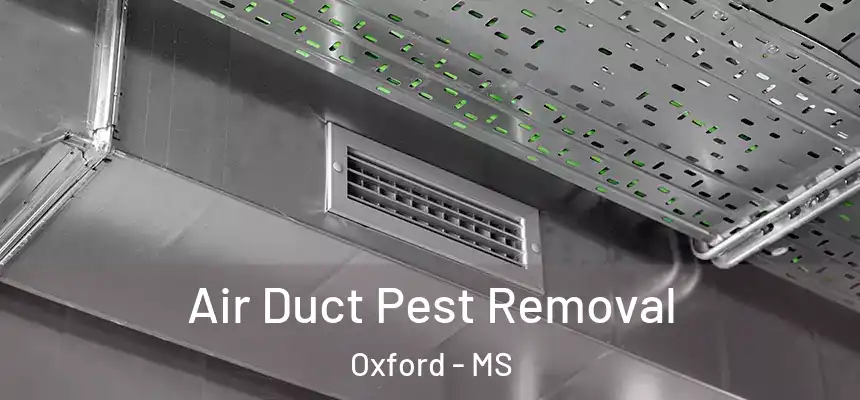  Air Duct Pest Removal Oxford - MS