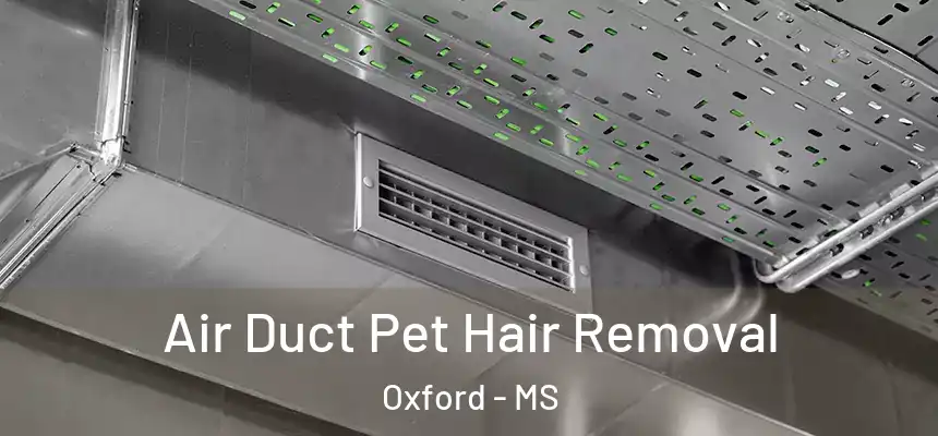  Air Duct Pet Hair Removal Oxford - MS