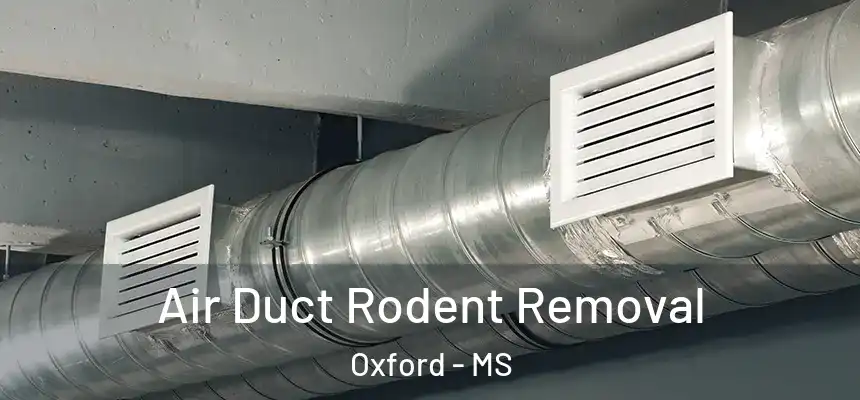  Air Duct Rodent Removal Oxford - MS