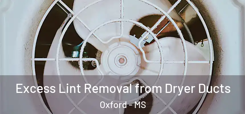  Excess Lint Removal from Dryer Ducts Oxford - MS