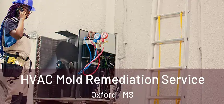  HVAC Mold Remediation Service Oxford - MS