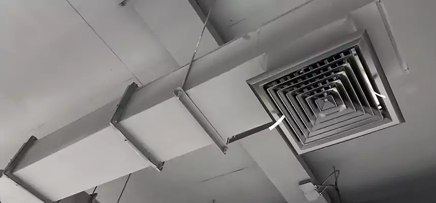 Our Rodent Droppings In Vents Services in Oxford, MS