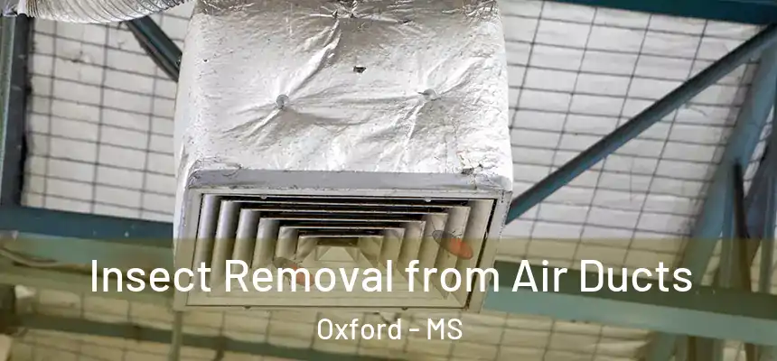  Insect Removal from Air Ducts Oxford - MS