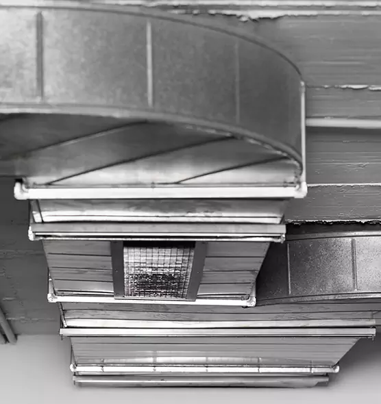 Professional Air Duct Pest Removal in Oxford, MS