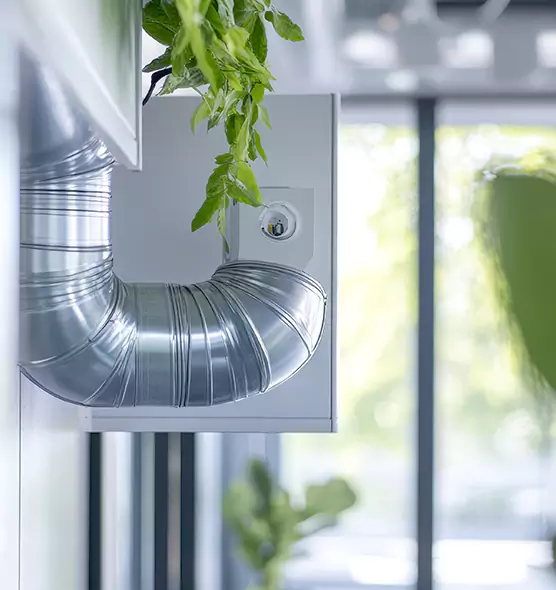 Professional Eco-Friendly Duct Cleaning Services in Oxford, MS