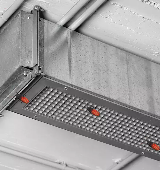 Affordable Insect Removal from Air Ducts in Oxford, MS