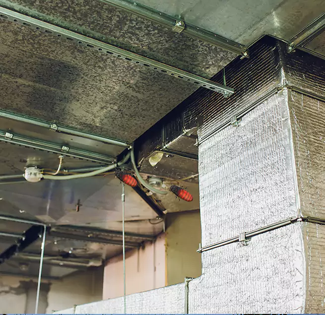 Why Homeowners & Businesses Trust Us in Oxford, MS?