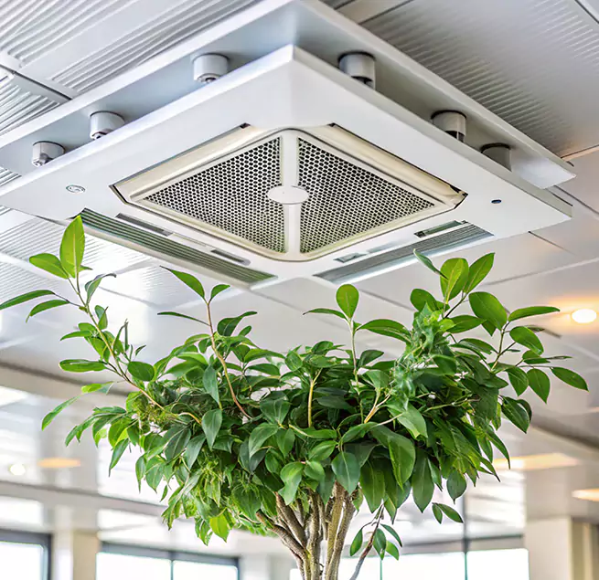 Why Homeowners & Businesses Trust Us in Oxford, MS