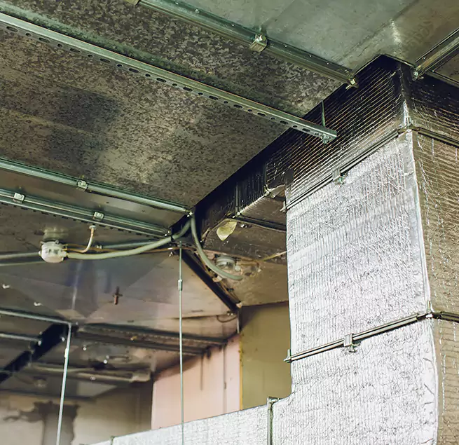 Why Homeowners & Businesses Trust Us in Oxford, MS?